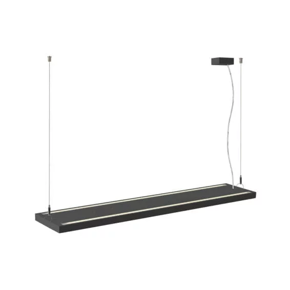 WORKLIGHT PRO 120 pendel zwart 1xLED 4000K DALI - Afbeelding 3